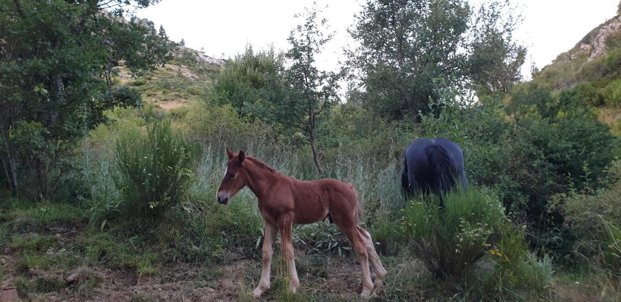 Casa Rural Carmen Luna Mallo de Luna Eksteriør bilde